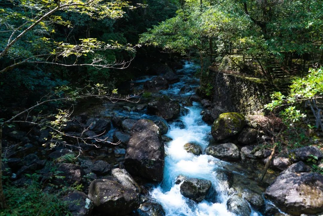 免費(fèi)、優(yōu)惠!溫州多個(gè)景區(qū)最新宣布