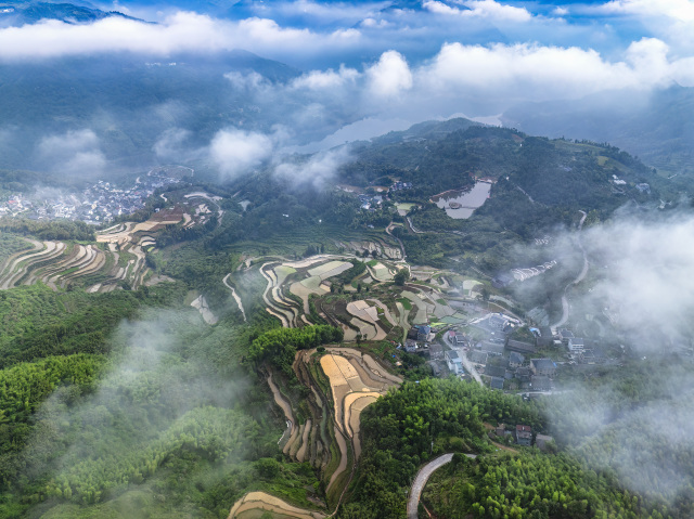 芒種時(shí)節(jié)至 梯田農(nóng)事忙