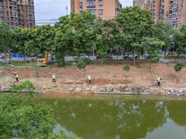 世界環(huán)境日 “美顏” 行動!梅嶼河畔 “洗洗臉” 迎園博