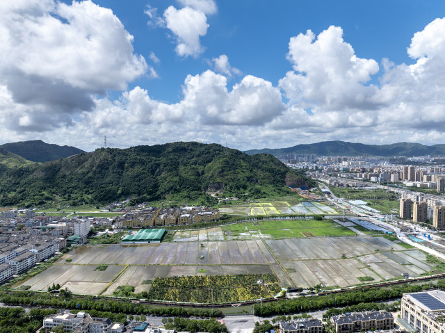 鷺鳥翩躚伴夏耕