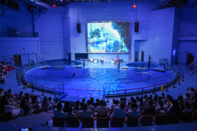 暑期熱門打卡地:探索海洋奧秘,感受自然魅力