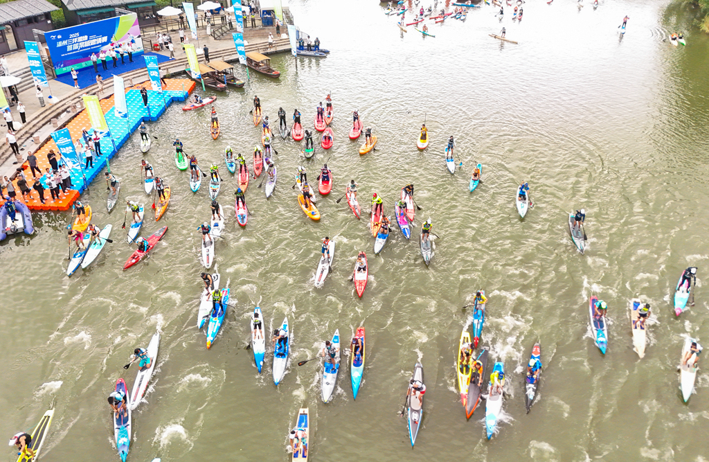 水上激情!溫州三垟濕地首屆槳板賽圓滿落幕