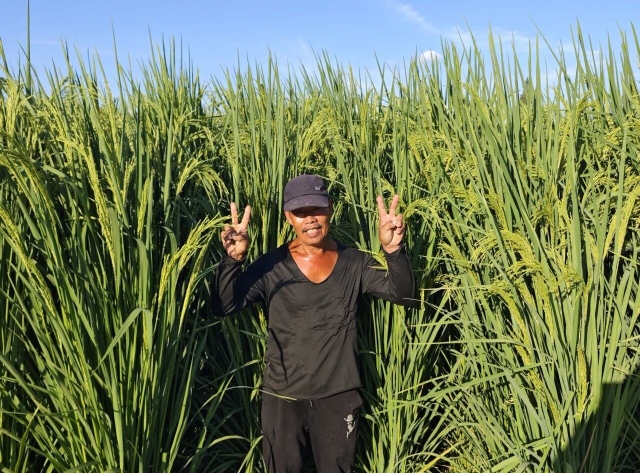 從102個(gè)薄弱村增收到強(qiáng)村富民 甌海強(qiáng)村公司:“禾下乘涼夢”背后的新圖景