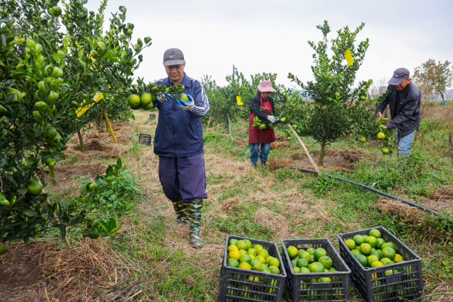 ���̡������u�������T�̲�������