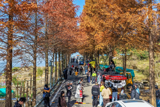 �޶��桰���ǞV�R�����Ͼ������żtɼ��·���㼴�̳��l(f��)