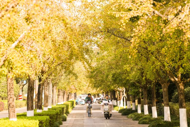 ����Ȧ�����ݴ�W(xu��)�Ǳ��y�ӡ���˽�