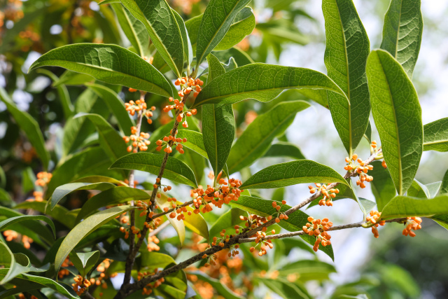 �S�P����֮��