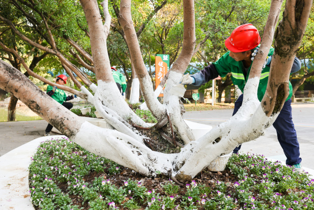 �T������ľˢ�ס������¡� �������x�^ů��