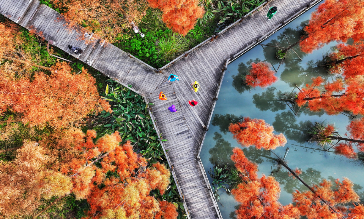 2025溫州馬拉松文旅優(yōu)惠全放送,請(qǐng)查收!