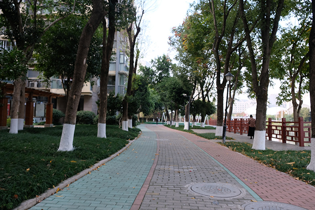 �T������^�������ҡ����������Ҹ�����W�W�l�⡱