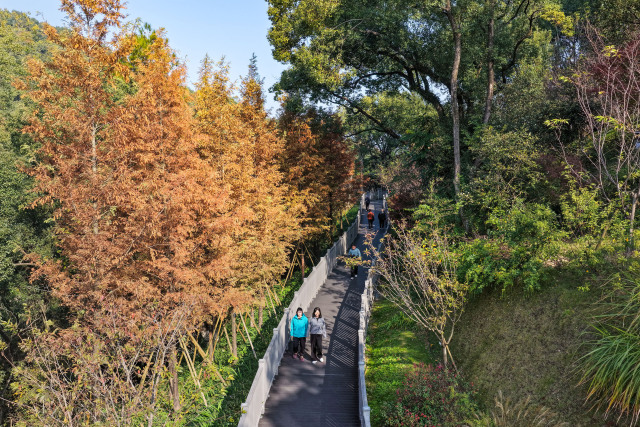 �����������¡� ���Pɽ�������́�