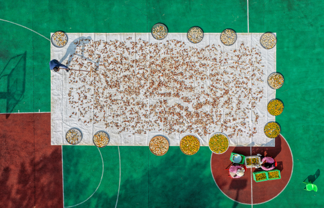 ���T������ꖹ⣬�T���Ƥ����æ