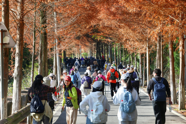 ǧ��ͽ��ȼ�ӝ��Ŷ�퍣�ʡ��IP����ɽˮԊ·