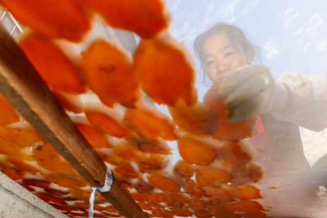 �T���@����헗���h��